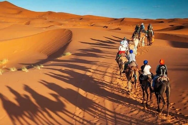 Morning Desert Safari in Dubai — Golden-Hour Dune Bashing, Camel Ride & Sandboarding photo 2