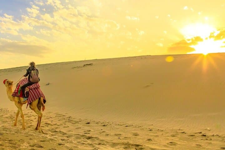 Morning Desert Safari in Dubai — Golden-Hour Dune Bashing, Camel Ride & Sandboarding photo 1