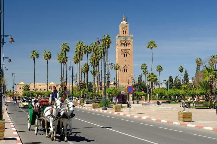One-Day Marrakech Highlights: Day Trip from Agadir and Taghazout photo 5