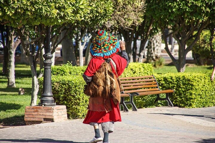One-Day Marrakech Highlights: Day Trip from Agadir and Taghazout photo 2
