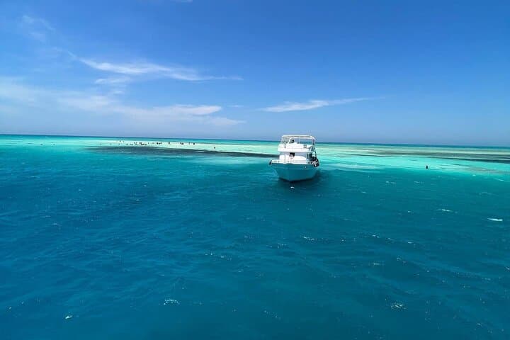 Snorkel Ras Mohammed & White Island: Day Trip from Sharm El Sheikh photo 5