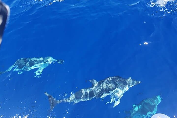 Private Luxury Sailboat Charters in Honolulu — Day Sails from Kewalo Basin photo 3