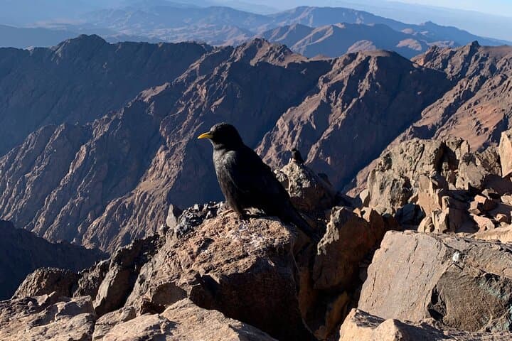 Private 2-Day Toubkal Trek: Summit Mount Toubkal from Marrakech photo 5