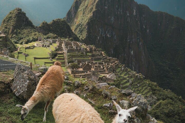 Private Machu Picchu Guided Tour from Aguas Calientes — Skip-the-Line with an Expert Guide photo 4