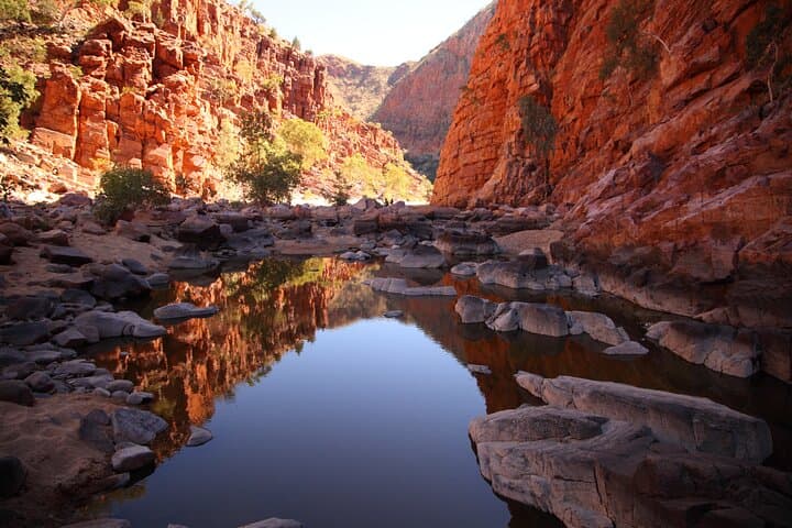 Uluru, Kata Tjuta & Kings Canyon: 3-Night Camping Adventure from Yulara photo 5