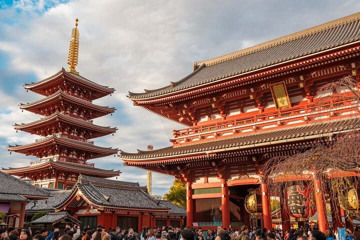 Private Tokyo Walking Tour: Local Guide to Temples, Markets & Neighborhoods photo 3