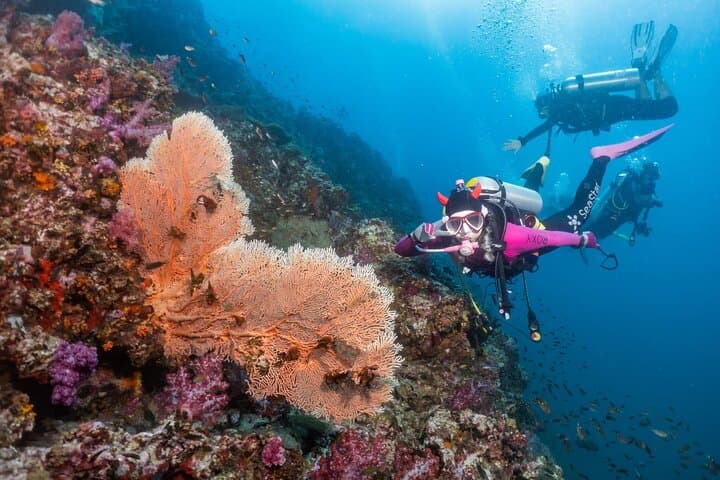 Similan Islands 2-Day Liveaboard: MV Koon Scuba Trip from Phuket photo 2