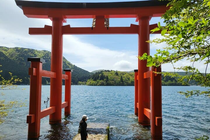 Private Hakone Day Tour from Tokyo: Lake Ashi, Owakudani & Hakone Onsen photo 1