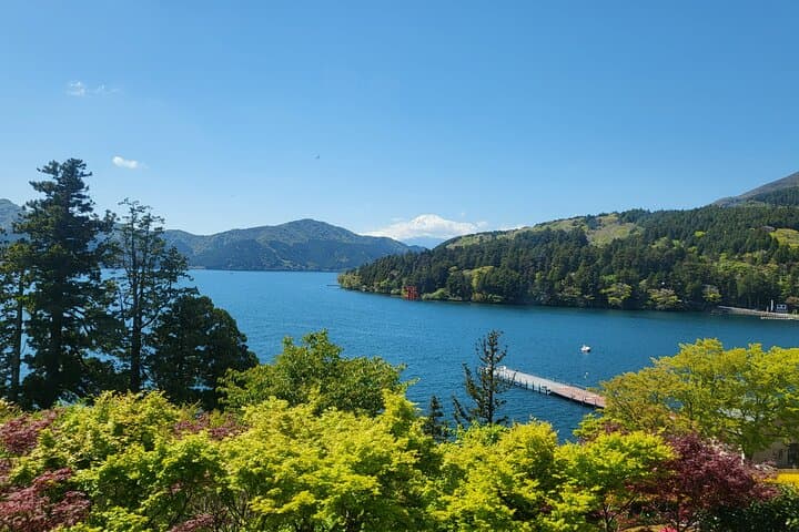 Private Hakone Day Tour from Tokyo: Lake Ashi, Owakudani & Hakone Onsen photo 2