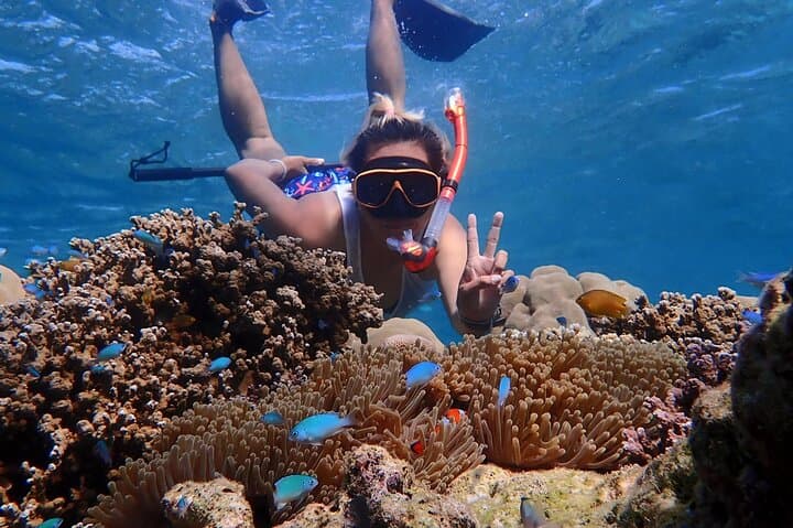 2D1N Similan Islands Snorkeling Liveaboard from Phuket — MV Koon photo 6