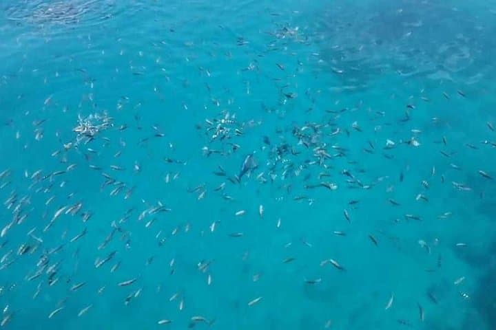 Ain Sokhna Yacht Day Trip from Cairo: Red Sea Snorkel & Relaxation photo 3