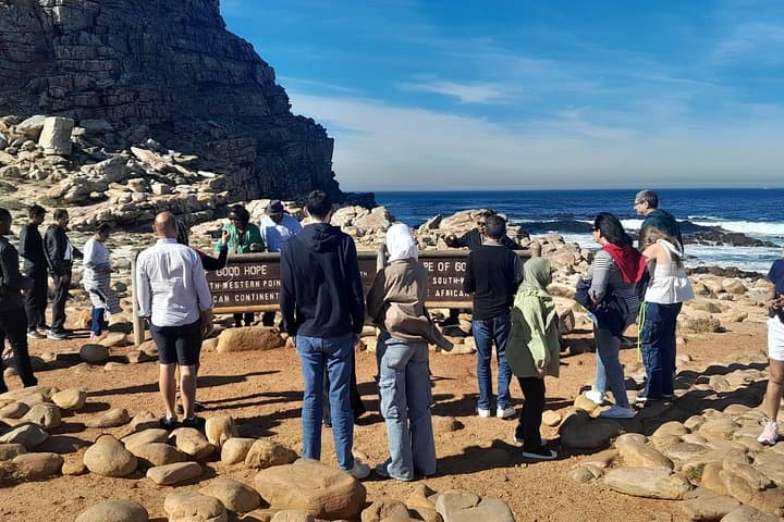 Cape Peninsula Full-Day: Cape of Good Hope, Boulders & Chapman's Peak Drive photo 4