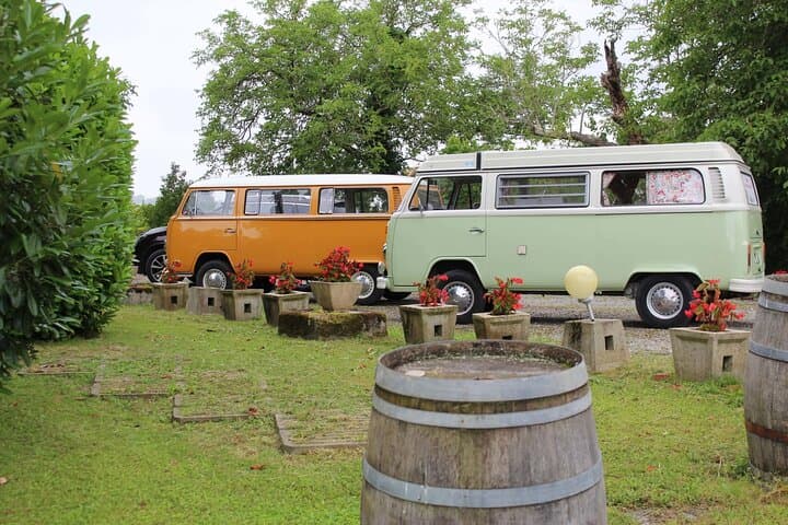 Solve a Wine Mystery: Suspicions in Jurançon Vineyard Day Adventure