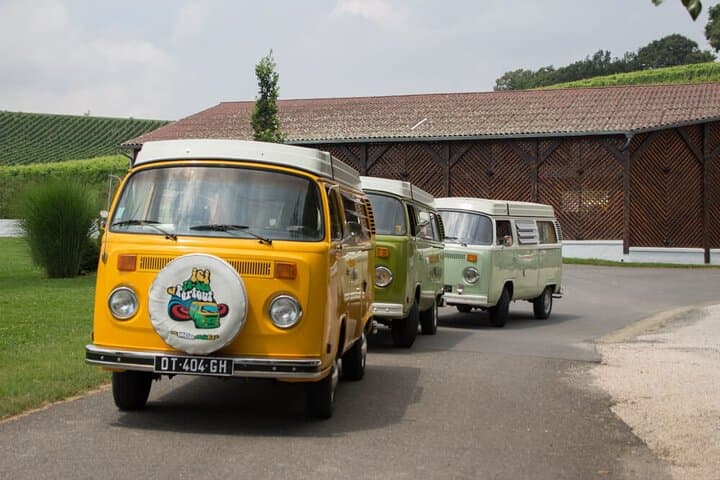Solve a Wine Mystery: Suspicions in Jurançon Vineyard Day Adventure photo 2
