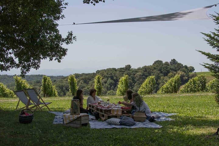 Solve a Wine Mystery: Suspicions in Jurançon Vineyard Day Adventure photo 4