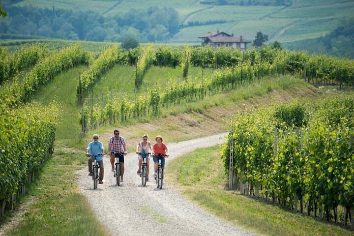 Solve a Wine Mystery: Suspicions in Jurançon Vineyard Day Adventure photo 6