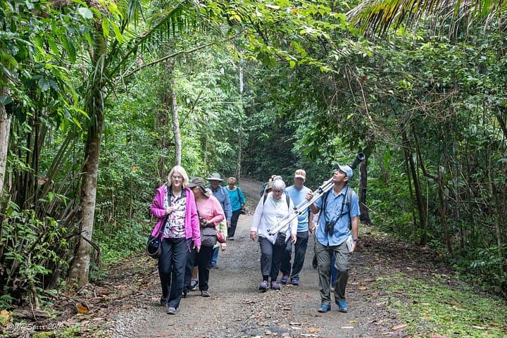 Panama City Rainforest Hike: Ancon Hill & Metropolitan Park Morning Tour photo 2