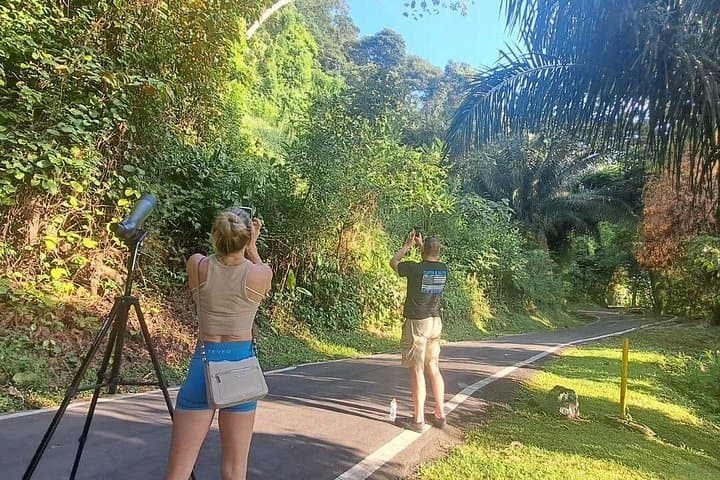 Panama City Rainforest Hike: Ancon Hill & Metropolitan Park Morning Tour photo 4