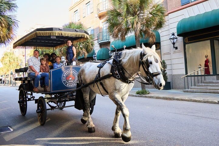 Historic Charleston Horse-Drawn Carriage Tour: 1-Hour Guided Ride Through the Old City photo 5