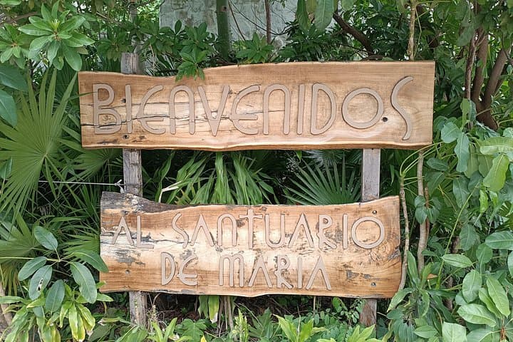 Cancun Shrine of Mary Undoer of Knots: Transportation & Visit Guide photo 2