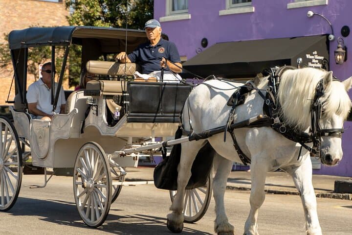 Private Daytime Horse-Drawn Carriage Tour of Historic Charleston photo 2