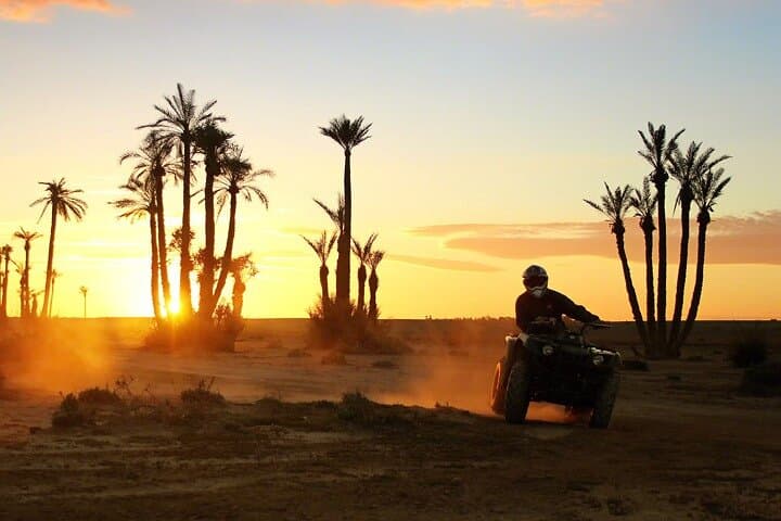 Palmeraie Quad and Camel Ride — Marrakech Palm Oasis Half-Day Adventure photo 3