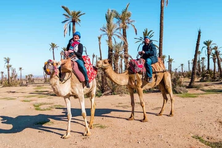Palmeraie Quad and Camel Ride — Marrakech Palm Oasis Half-Day Adventure photo 2
