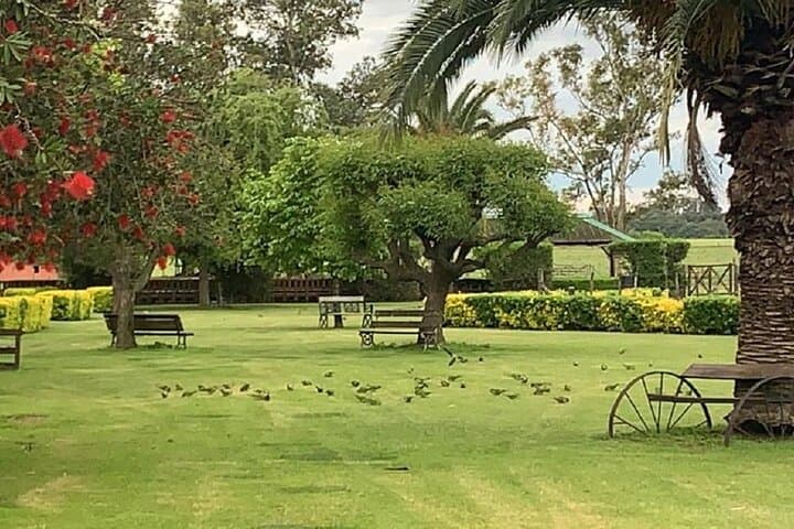 Ranch Day at Estancia Santa Susana — Buenos Aires Country Experience photo 3