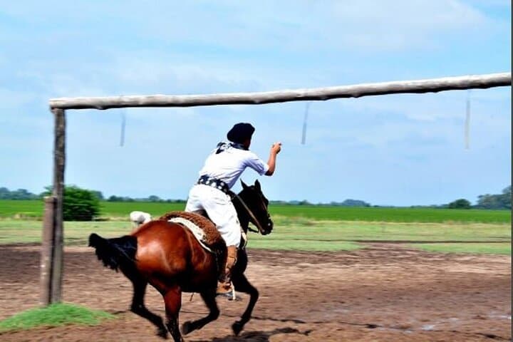 Ranch Day at Estancia Santa Susana — Buenos Aires Country Experience photo 6