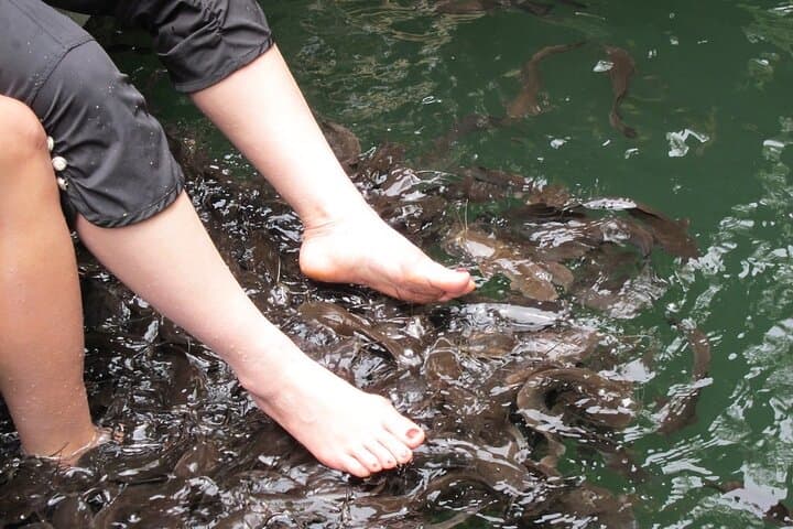 Langkawi Island Hopping: Dayang Bunting Lake, Eagle Watching & Beras Basah Beach photo 2