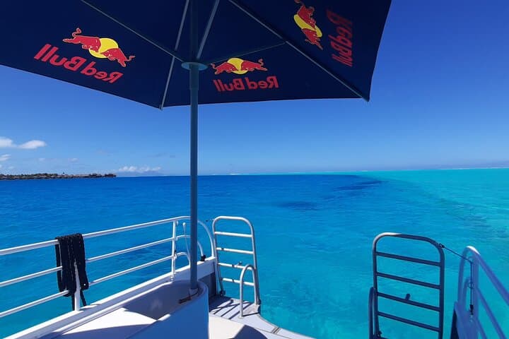 Bora Bora Private Underwater Excursion: Air-Conditioned Lagoon Cabin Experience photo 2