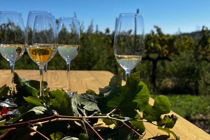 Private Artisanal Winery Visit & Wine Tasting from Sitges photo 3