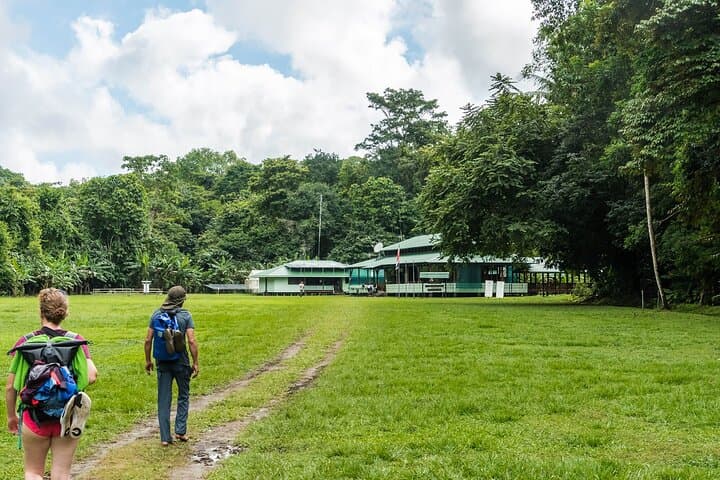 Overnight at Sirena: 2-Day Corcovado Expedition from Puerto Jimenez