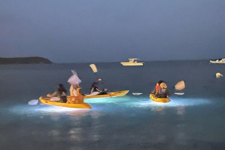 Illuminated Night Kayaking at the Elysian Resort — St. Thomas After-Dark Paddle photo 2