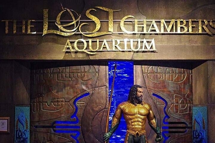 Explore Dubai's Lost Chambers Aquarium at Atlantis: Tickets, Tips & What to Expect