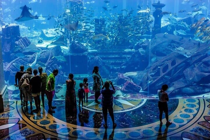 Explore Dubai's Lost Chambers Aquarium at Atlantis: Tickets, Tips & What to Expect photo 3
