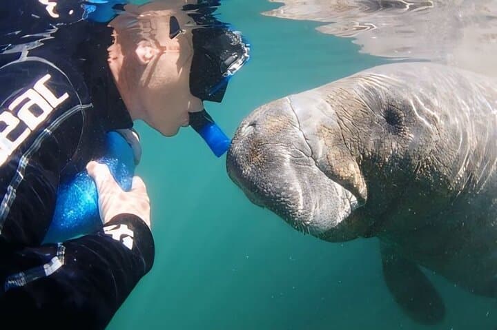 Crystal River Manatee Swim: Semi-Private Heated Boat Tour with Photos
