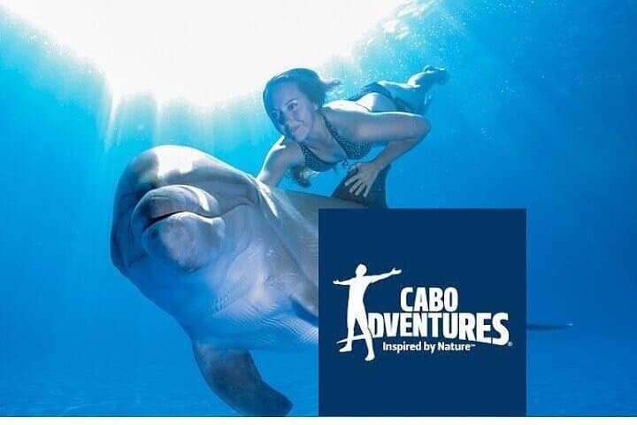 Cabo Dolphin Encounter: Natural Space Bottlenose Experience with Optional Pickup photo 2