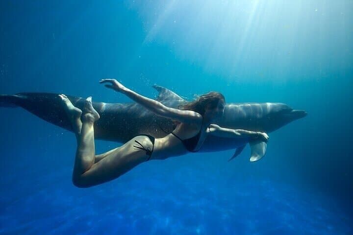 Cabo Dolphin Encounter: Natural Space Bottlenose Experience with Optional Pickup photo 4