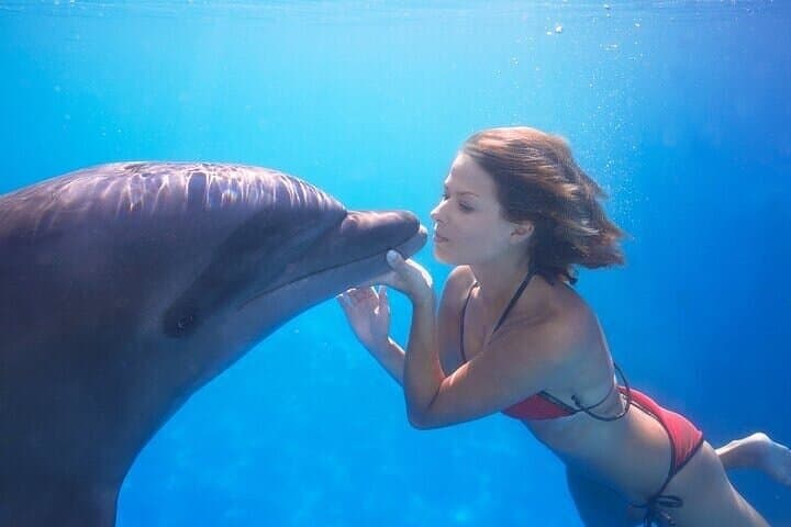 Cabo Dolphin Encounter: Natural Space Bottlenose Experience with Optional Pickup