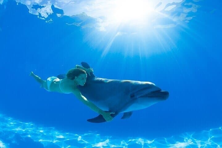 Cabo Dolphin Encounter: Natural Space Bottlenose Experience with Optional Pickup photo 6