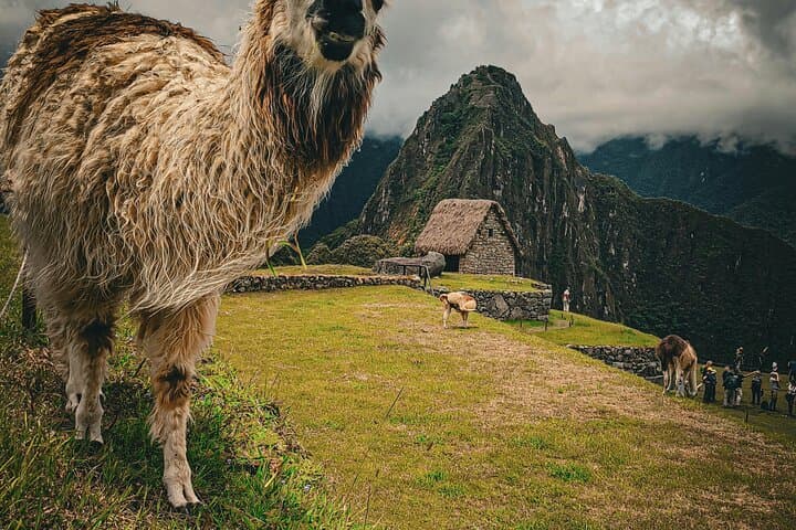 2-Day Sacred Valley & Machu Picchu: Pisac Market, Alpacas & Sunrise at the Citadel photo 2