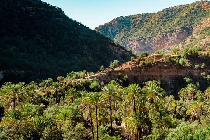 Paradise Valley Half-Day Hike and Natural Pools from Agadir photo 6
