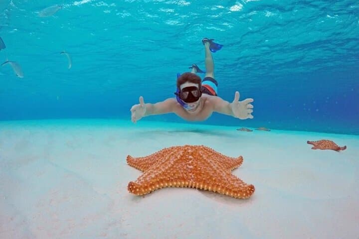Cozumel El Cielo Private Catamaran Charter — Snorkel Reefs & Starfish photo 5