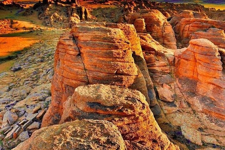 7-Day Golden Gobi Desert Tour: Khongoryn Els, Yol Valley & Flaming Cliffs photo 4