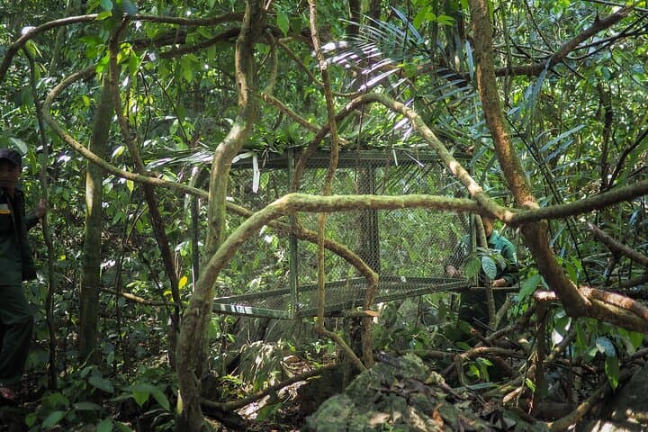 Exploring Cuc Phuong: Day Hike and Primate Rescue from Ninh Binh photo 4