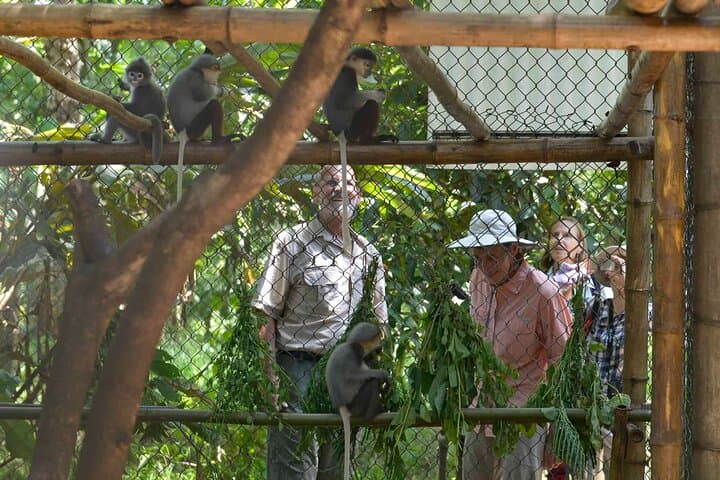 Exploring Cuc Phuong: Day Hike and Primate Rescue from Ninh Binh photo 5