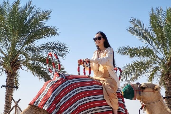 Sunrise Desert Hot Air Balloon in Dubai: Falcon Photo & Camel Ride photo 4