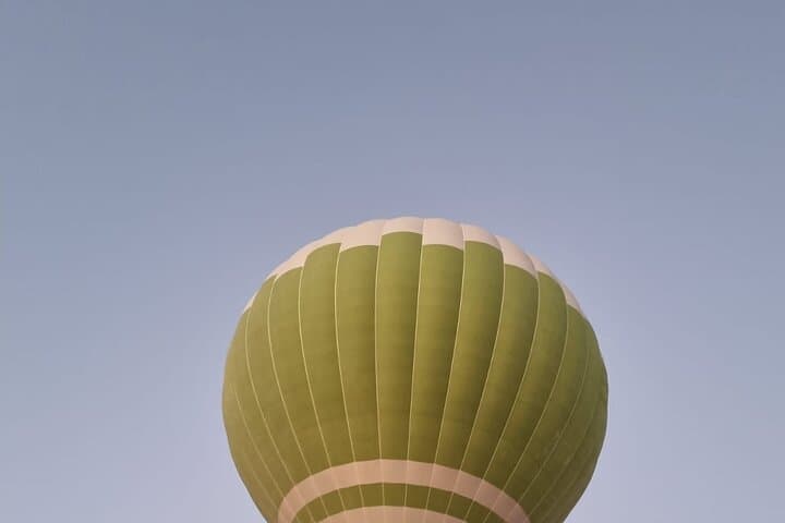Sunrise Desert Hot Air Balloon in Dubai: Falcon Photo & Camel Ride photo 5