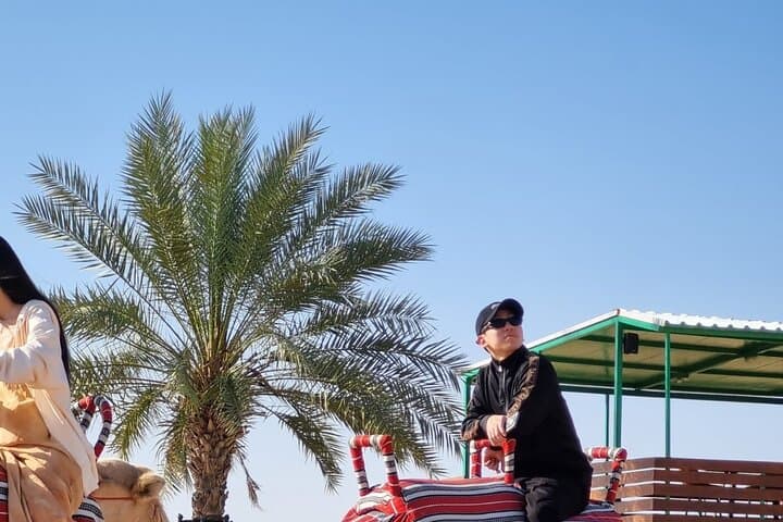 Sunrise Desert Hot Air Balloon in Dubai: Falcon Photo & Camel Ride photo 6